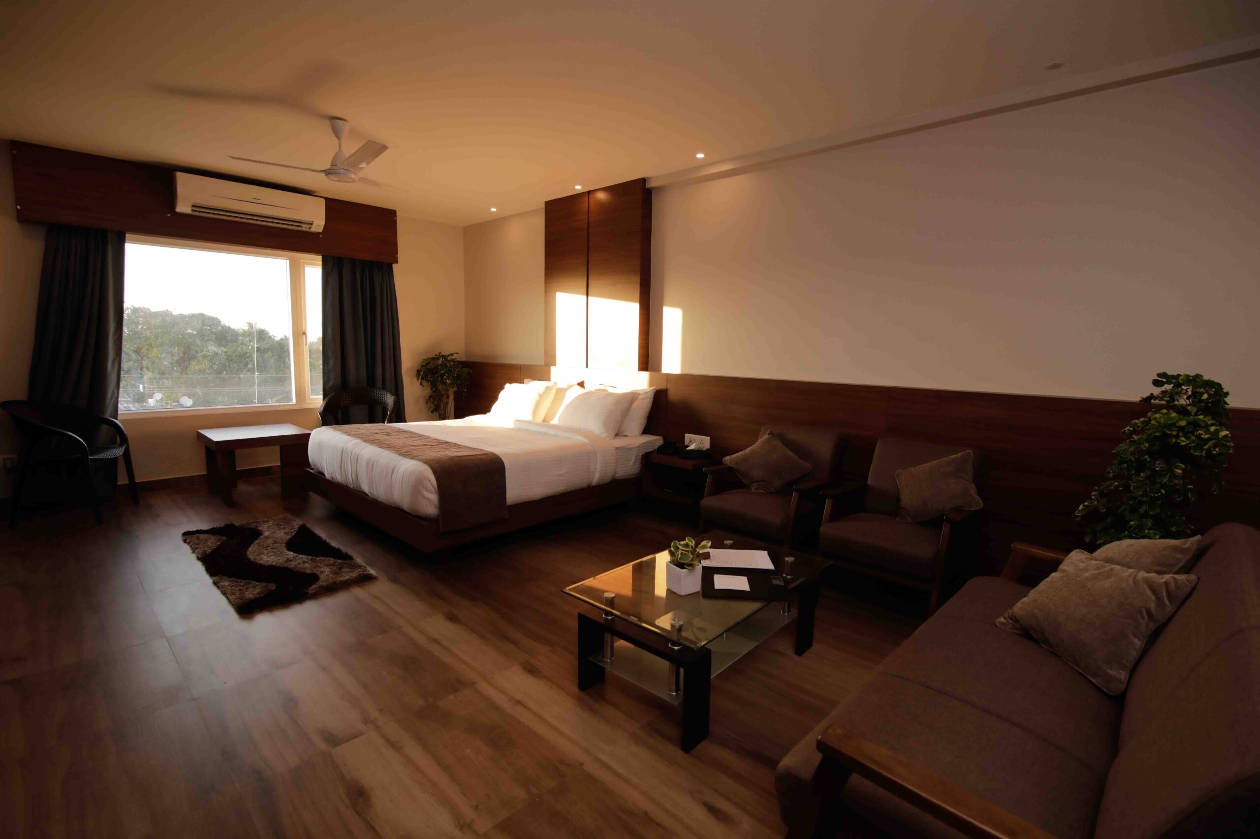 Executive room image - Hotel Tree Fern